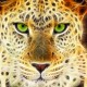 Gepard1968