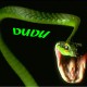 Dudu_fw
