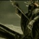 mikemodano