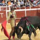 matador12